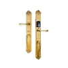 Khóa Vân Tay Cho Biệt Thự Đồng Mạ Vàng 24K Osuno OSN-KBT06