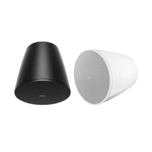 Loa treo trần Bose DesignMax DM10P Sub