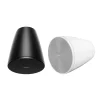 Loa treo tran Bose DesignMax DM5P