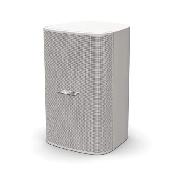 Loa treo tường Bose DesignMax DM10S Sub