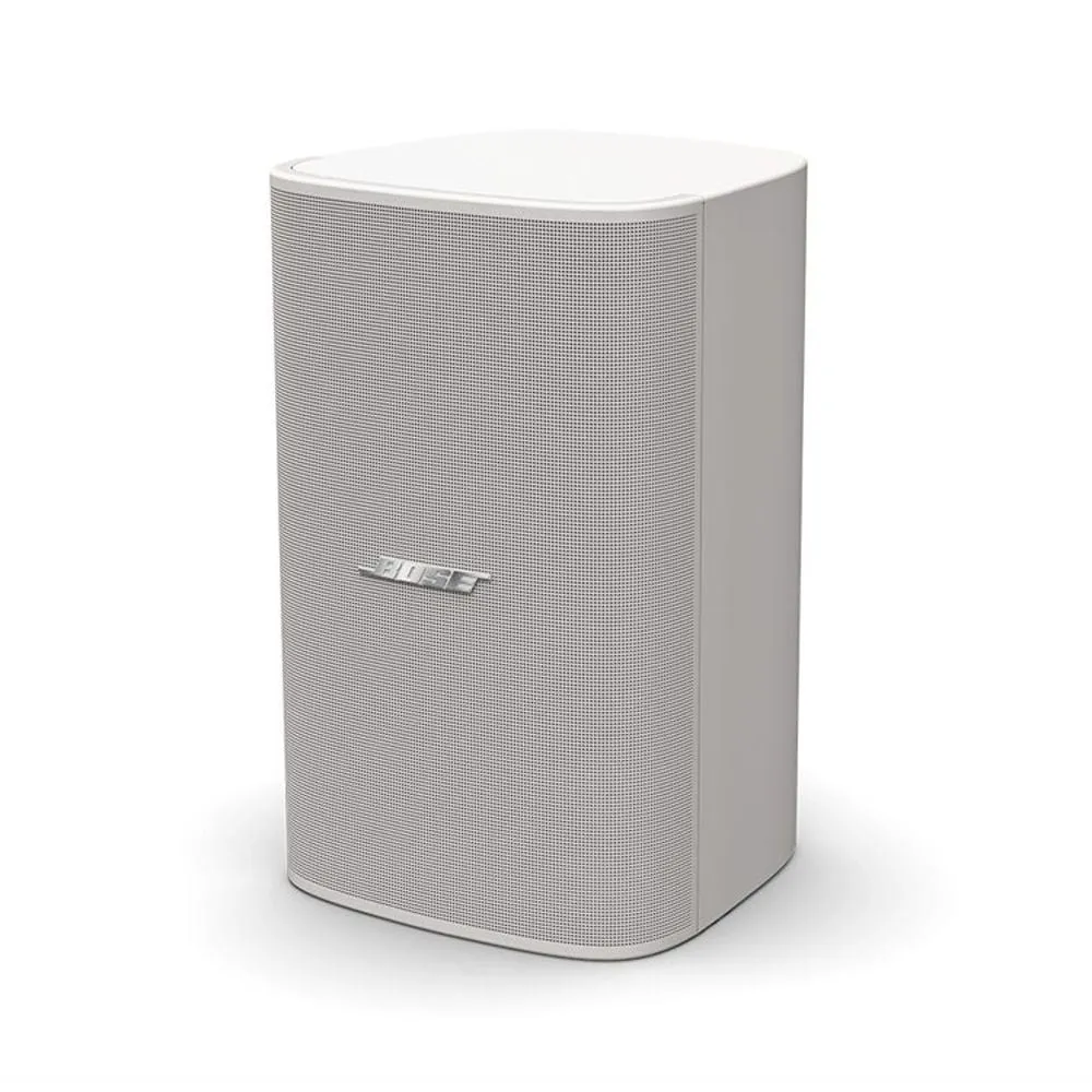 Loa treo tường Bose DesignMax DM10S Sub