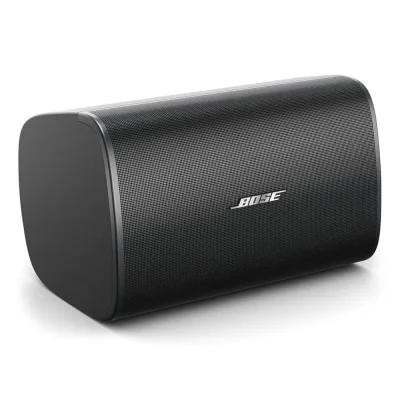 Loa treo tuong Bose DesignMax DM8S