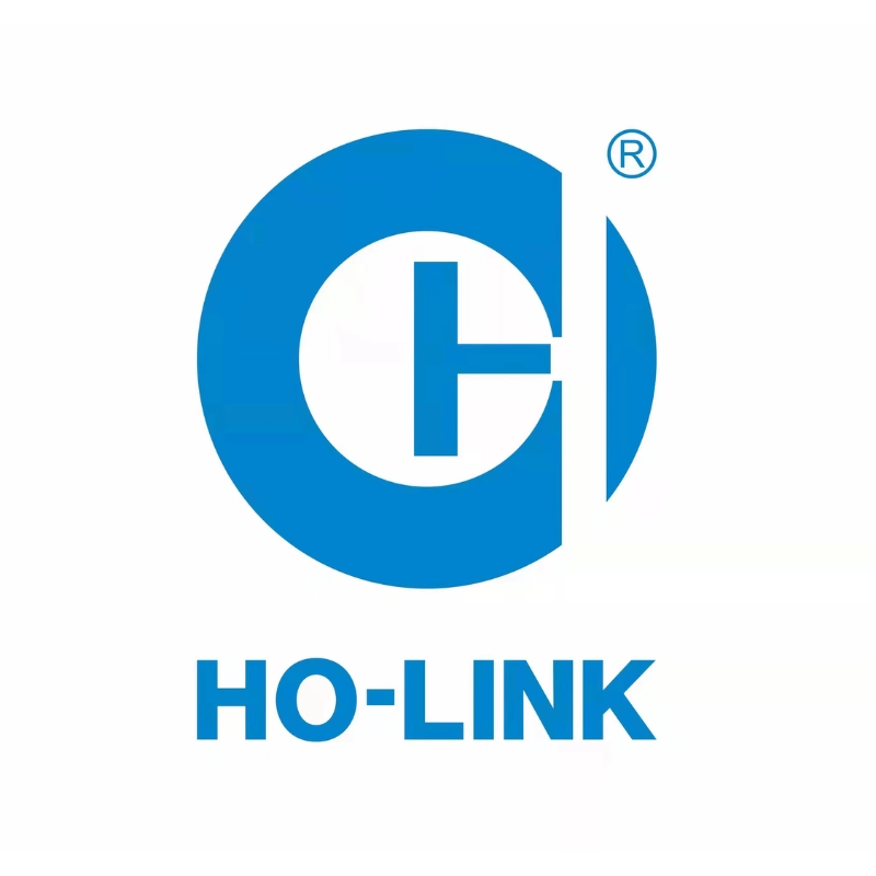 logo holink
