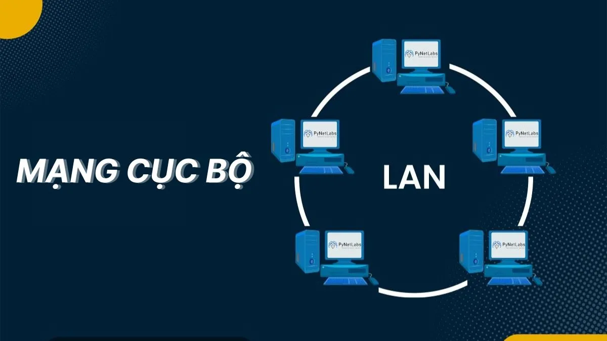 mang cuc bo la gi 11zon