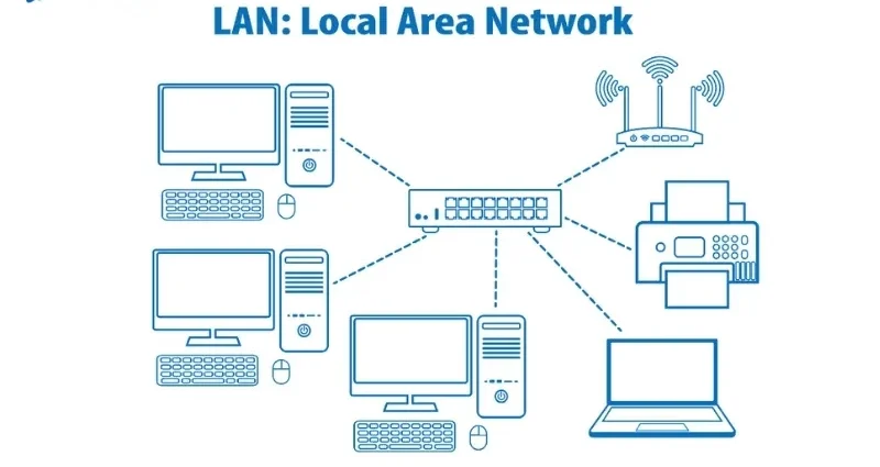 mang lan la gi e1756874302386