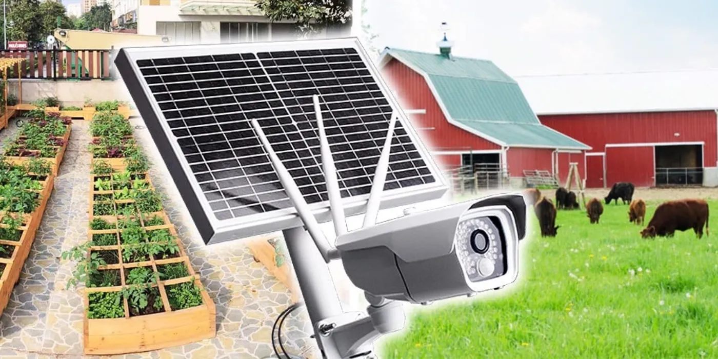 Lắp Camera Giám Sát Cho Trang Trại, Nhà Vườn Tại Đà Nẵng lap camera giam sat trang trai da nang 4